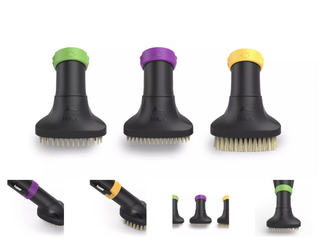 IMG 1289 HYLA erleben